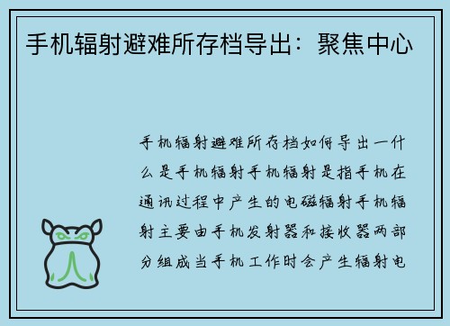 手机辐射避难所存档导出：聚焦中心
